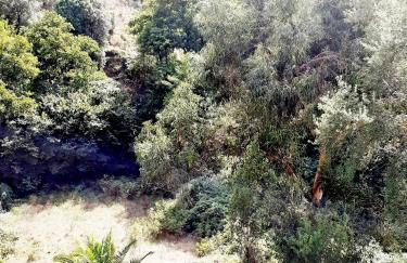 Villa SERENA - Foto 15