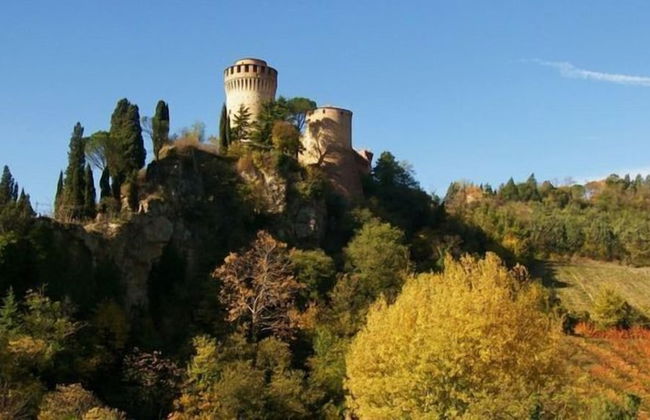 Verdidea - Ovello - Foto 21