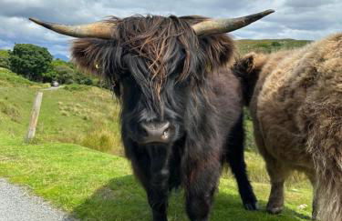 Borthwick Farm Cottage Pottery - Foto 27