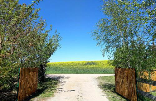 Toskania Kociewska - Photo 7