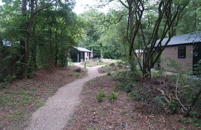 Modern Chalet Near Three National Parks - Photo 33