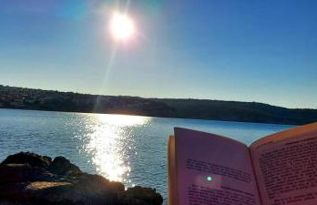 Apartment Molnar - Photo 29