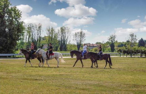 La Casa Delle Api - Photo 50