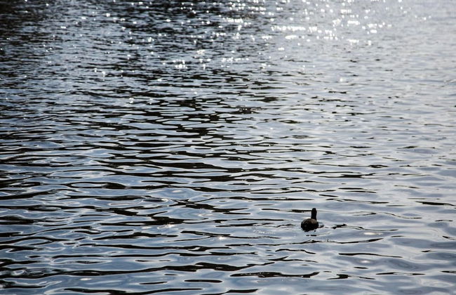 SWEETS - Kinkerbrug - Foto 13