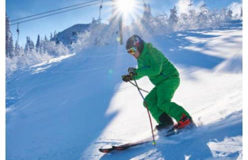 Ferienwohnung Goldfasan - Foto 23