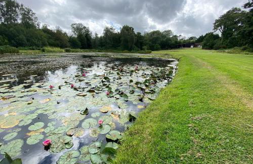 Lake View - Photo 27