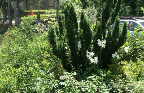 Le Apuane Holidays - Foto 73