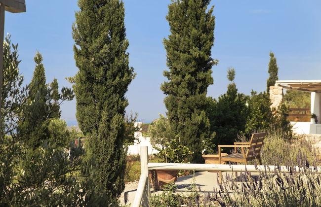 Christou Estate - Foto 54