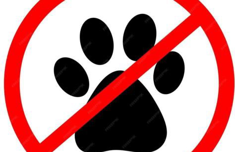 Paratà Paradise - Foto 30