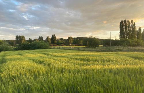 El Rincón de Willy - Foto 28