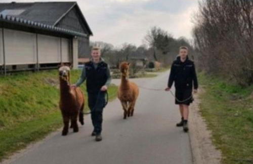 FeWo Lena - Photo 14