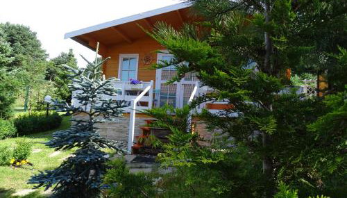 Lesny domek - Foto 3, Garden, Garden view