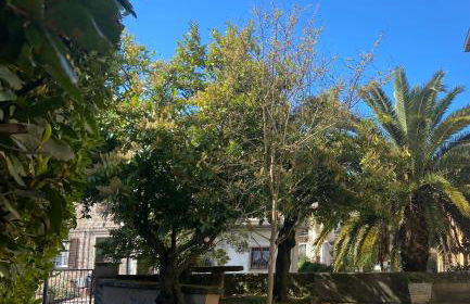 Villa Adriana Tuscia Country Retreat - Foto 14