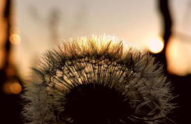 Agriturismo Mondo - Foto 34