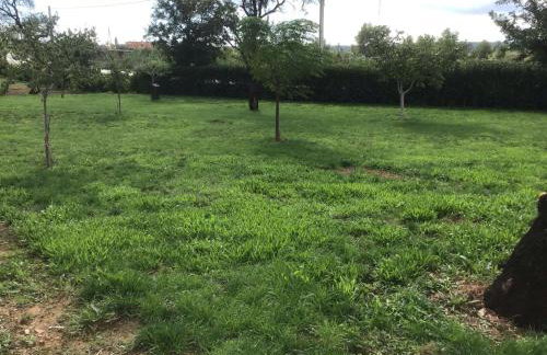 Dan's Apartment - Foto 14