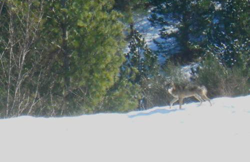 Agriturismo Le Castellare - Foto 65