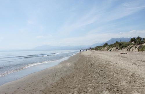 Romana Playa - Photo 38