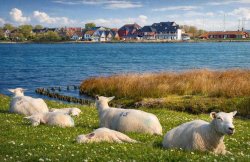 Ort Lemkenhafen "Seeblick" - Photo 29