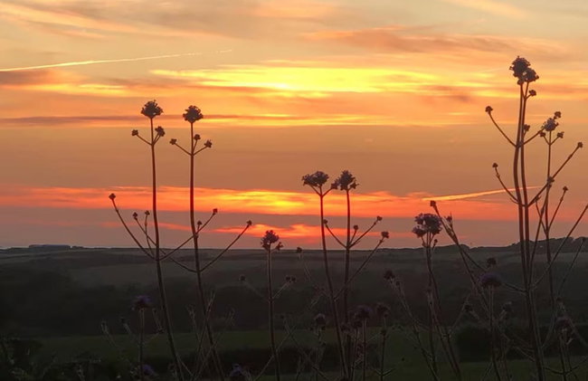 Little Linney - Sleeps 2 - Garden - Wifi - Parking - Photo 24