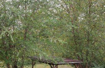 Bucks County Home Farm Philadelphia Dog Friendly - Foto 54