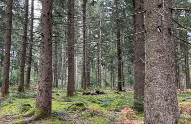 Nuit insolite dans un dôme - Foto 22