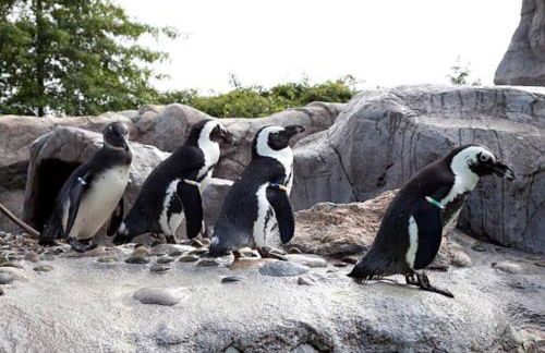 The Blair Durgin House in Mystic - Foto 43