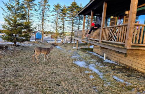 4 BR: Timbers #1 Stand alone Cabin - Foto 3