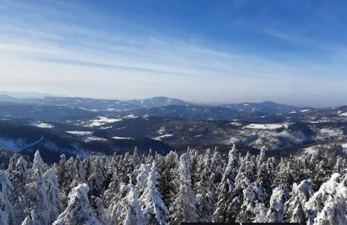 Chata góralska Wojtasówka - Foto 51