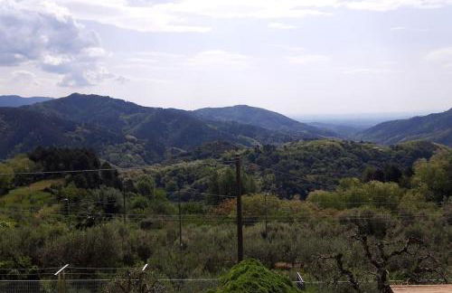 Casa Zita dei fiori - Foto 44