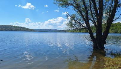 Jolie maison entière 2 chambres 1 jardin - Foto 2
