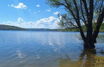 Jolie maison entière 2 chambres 1 jardin - Foto 2