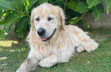 Casa Balsas - Foto 36