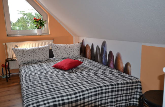 pur NATUR & berlin ALEX 40min. - Foto 4