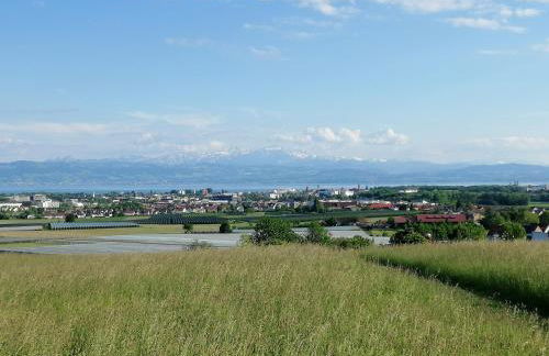 Pilgerhof Keller - Foto 22