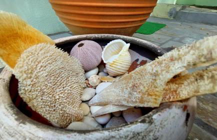 Eftychia Cottage House - Foto 9