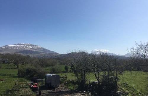 Tyddyn Perthi Farm - Foto 9