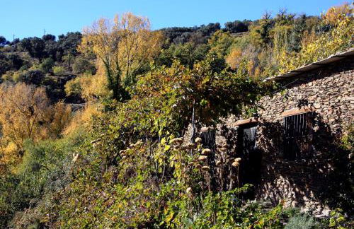 Cortijo Buena Vista - Photo 24