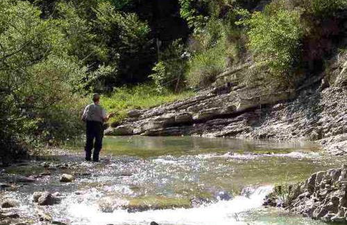 Pineta Natural Chalet - Foto 24