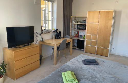 Wohnen in der alten Max Selbmann Villa - Foto 6