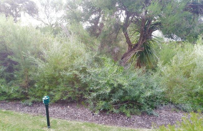 Margaret River Beach Apartments - Photo 54