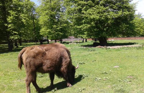 Cztery Pory Roku - Foto 56