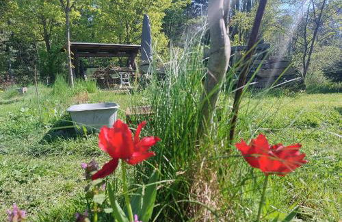 Apartment GNUBBEL am Wald - Foto 11