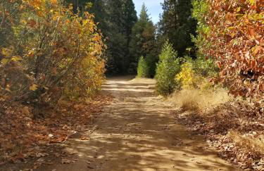 Cozy Mountain Cabin Yosemite Dodge Ridge Ski - Foto 51
