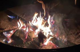 Ferienidyll Aumühle "Muswiese" - Foto 55