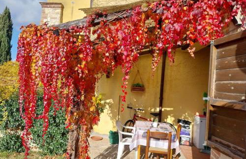 La Bella Vista - Photo 43