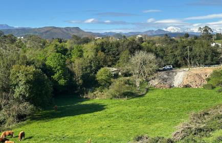 Marismas de Cantabria cerca de Laredo - Foto 42