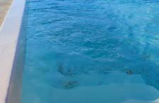 Propriété avec piscine de 2 à 9 personnes, Gîte De Saint Donat, - Foto 15