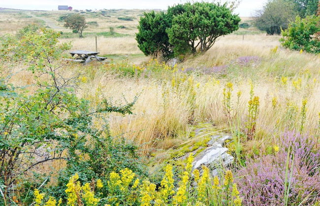 6 Person Holiday Home in Falkenberg-by Traum - Photo 20