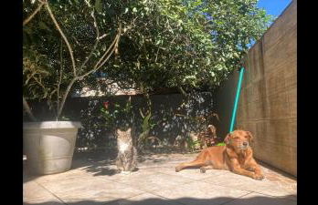 Casa aconchegante em área verde - Foto 30