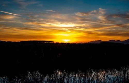 Agriturismo Podere dei kiwi - Foto 43